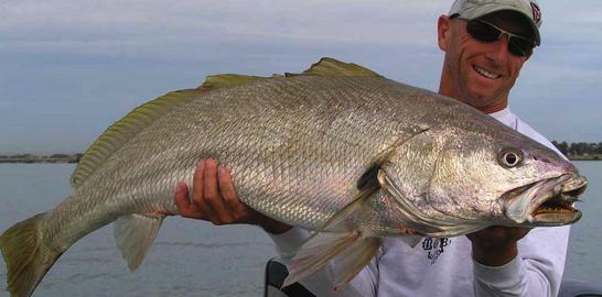 Guided fishing for all levels - massive Jewfish